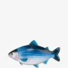 Fish bag