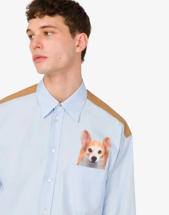 Printed cotton poplin shirt